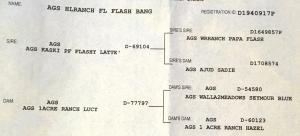AGS Pedigree for HLRanch FL Flash Bang